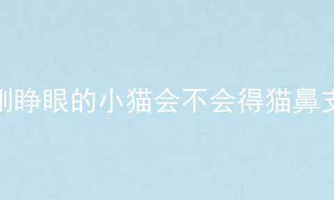 刚睁眼的小猫会不会得猫鼻支