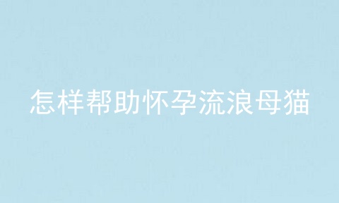 怎样帮助怀孕流浪母猫