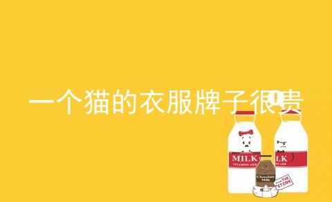 一个猫的衣服牌子很贵