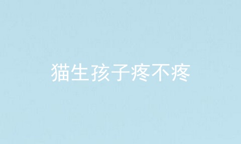 猫生孩子疼不疼