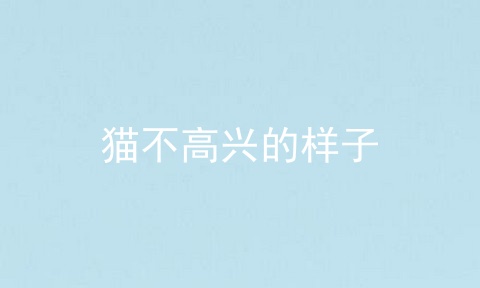 猫不高兴的样子