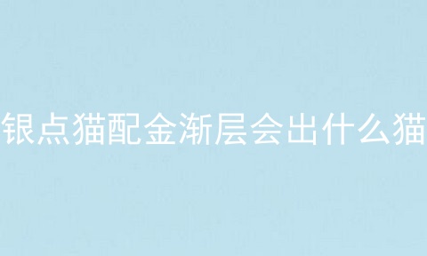 银点猫配金渐层会出什么猫