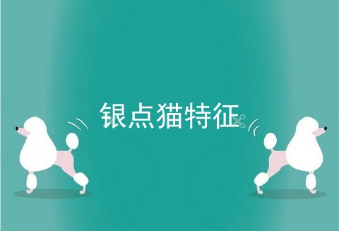 银点猫特征