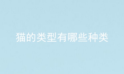 猫的类型有哪些种类