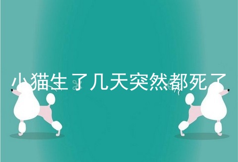 小猫生了几天突然都死了