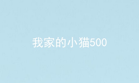 我家的小猫500