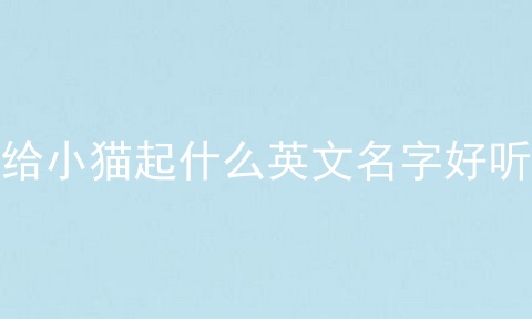 给小猫起什么英文名字好听