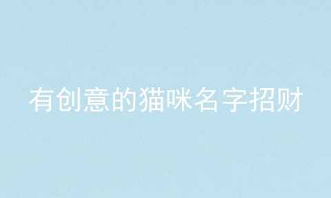 有创意的猫咪名字招财