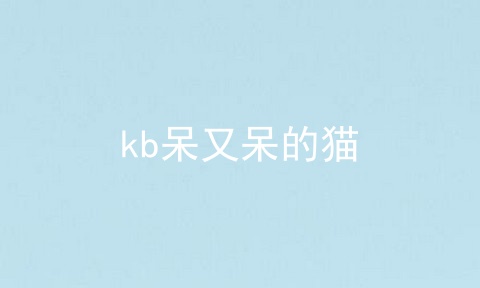 kb呆又呆的猫