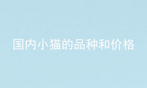 国内小猫的品种和价格