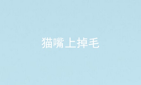 猫嘴上掉毛