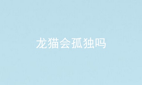 龙猫会孤独吗