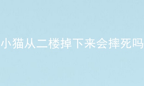 小猫从二楼掉下来会摔死吗