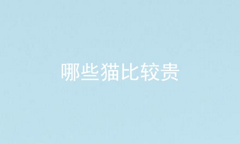 哪些猫比较贵