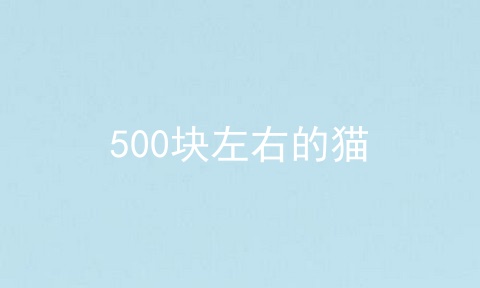 500块左右的猫