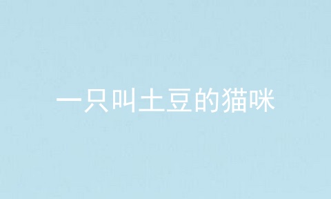 一只叫土豆的猫咪