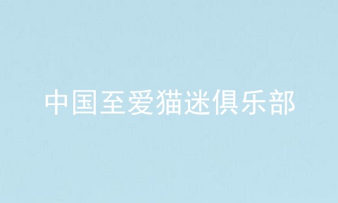 中国至爱猫迷俱乐部