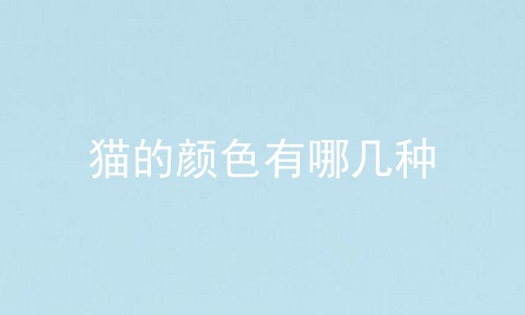猫的颜色有哪几种