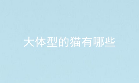 大体型的猫有哪些