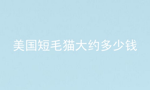 美国短毛猫大约多少钱