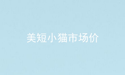 美短小猫市场价