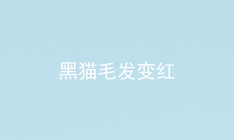 黑猫毛发变红