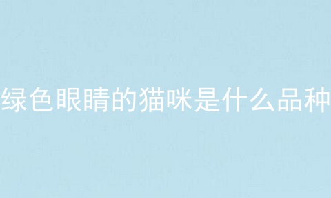 绿色眼睛的猫咪是什么品种