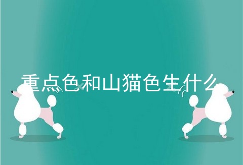 重点色和山猫色生什么