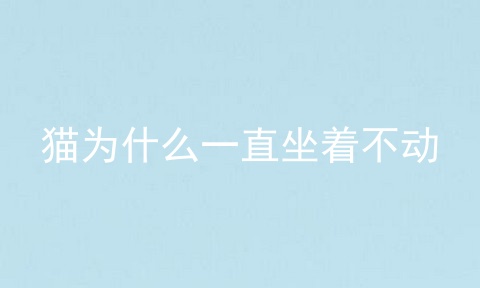 猫为什么一直坐着不动
