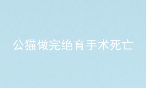 公猫做完绝育手术死亡