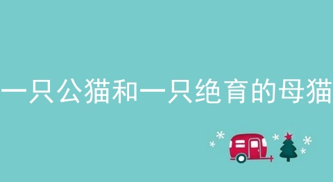一只公猫和一只绝育的母猫