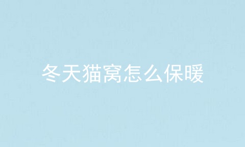 冬天猫窝怎么保暖