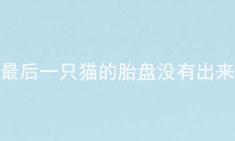 最后一只猫的胎盘没有出来