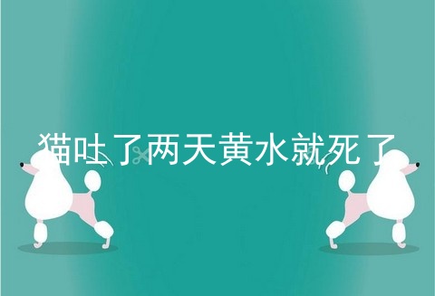 猫吐了两天黄水就死了