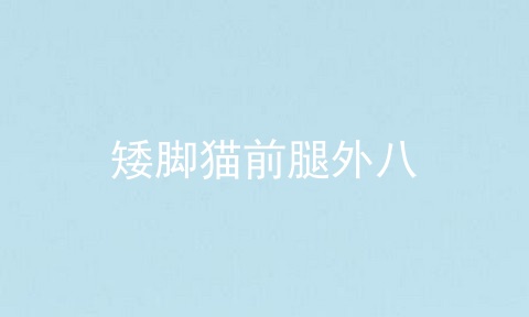 矮脚猫前腿外八