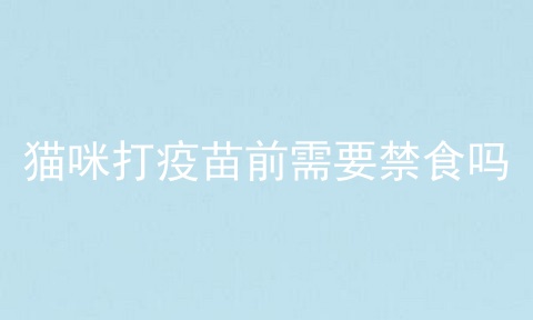 猫咪打疫苗前需要禁食吗