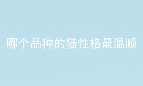 哪个品种的猫性格最温顺
