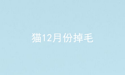 猫12月份掉毛