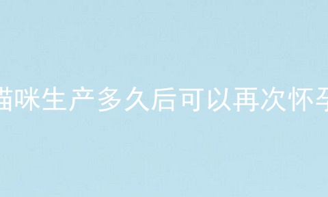 猫咪生产多久后可以再次怀孕