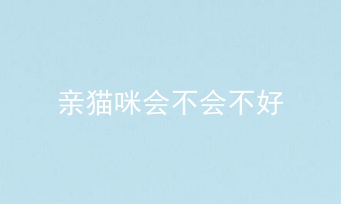 亲猫咪会不会不好