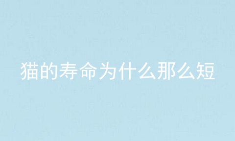 猫的寿命为什么那么短