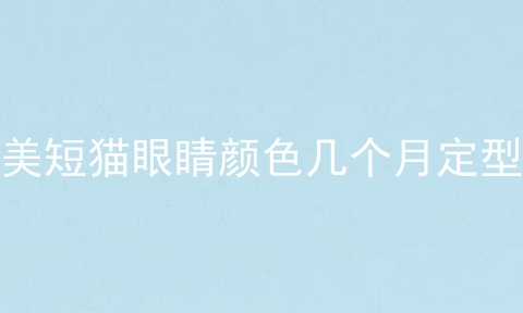 美短猫眼睛颜色几个月定型