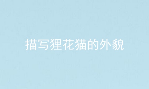 描写狸花猫的外貌