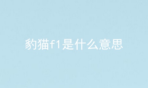 豹猫f1是什么意思