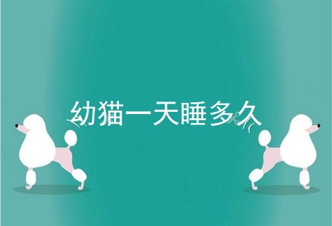 幼猫一天睡多久
