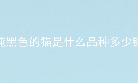 纯黑色的猫是什么品种多少钱