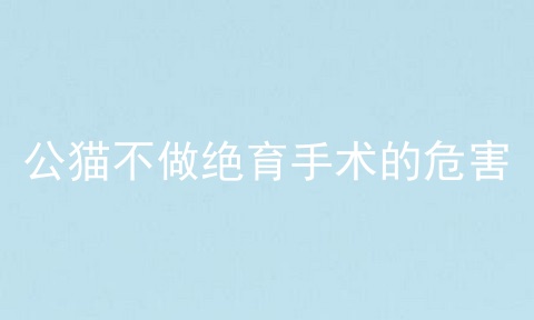 公猫不做绝育手术的危害