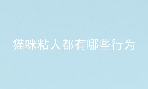 猫咪粘人都有哪些行为