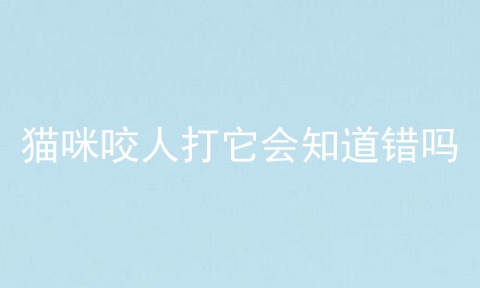 猫咪咬人打它会知道错吗