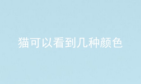猫可以看到几种颜色